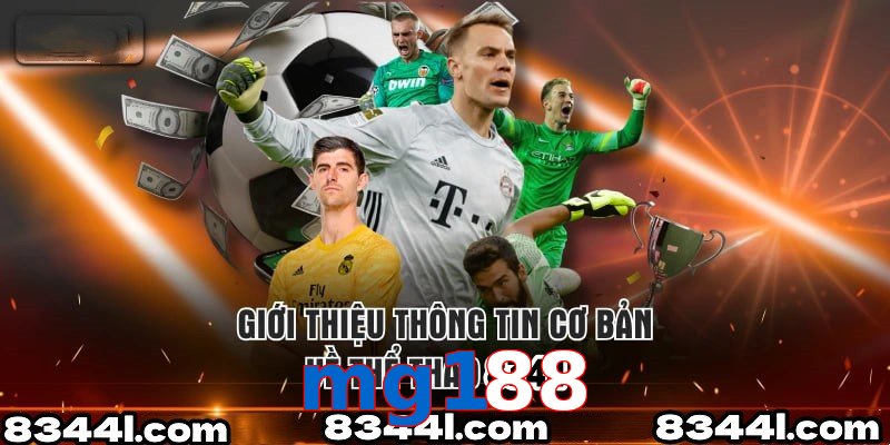 Giới Thiệu Thông Tin Cơ Bản Về Chuyên Mục Thể Thao mg188