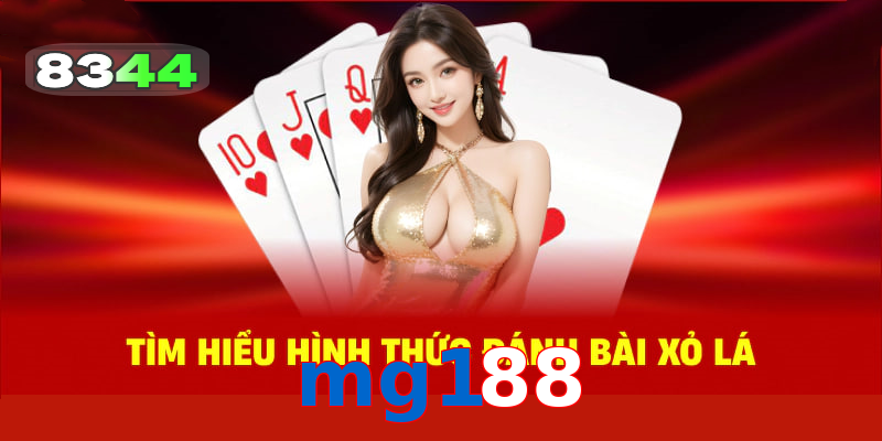 Các Điều Khoản Về Chương Trình Thưởng ngày 20-25